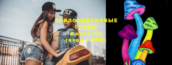 шишки Ладушкин