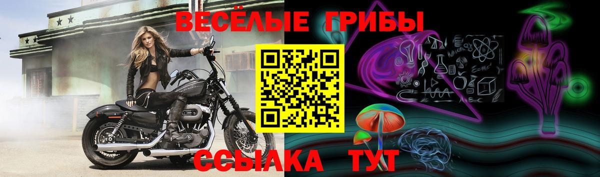 Псилоцибиновые грибы MAGIC MUSHROOMS  Вход с VPN  Слободской 